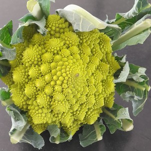 Chou romanesco