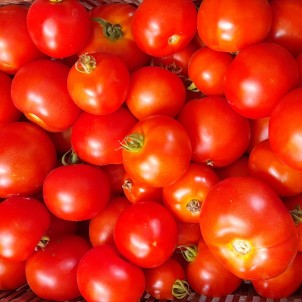 Tomates rondes - 500 g