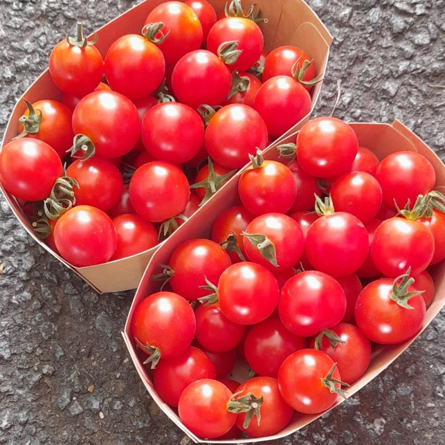 Tomates cerises Valanjou - Lot de 2 barquettes