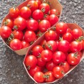Tomates cerises Valanjou - Lot de 2 barquettes