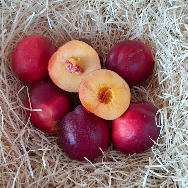 Nectarine jaune Par unité