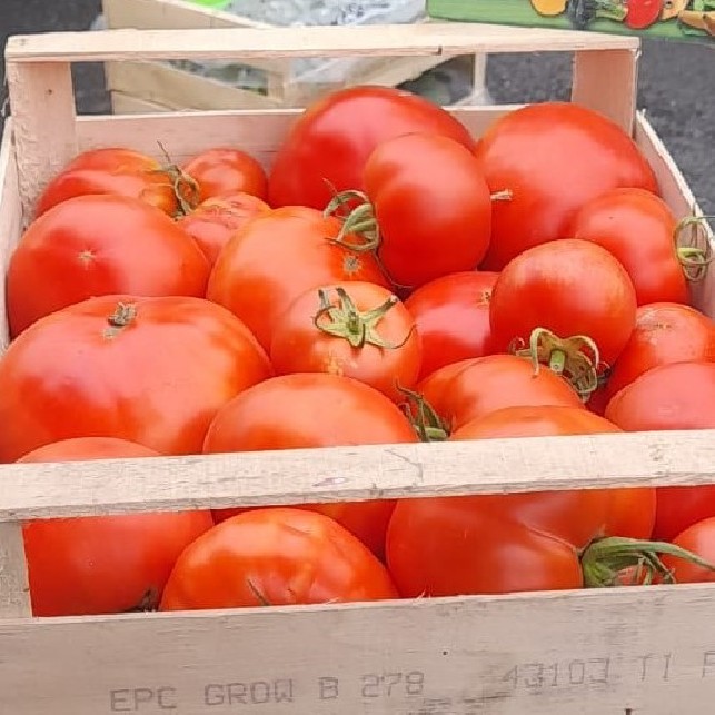 Tomates pour sauce - Caisse 5kg