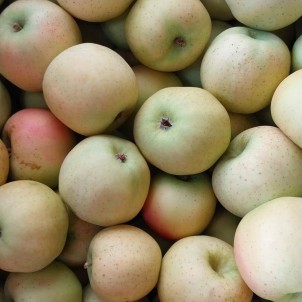 Pomme Belchard - 2 Kg