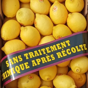 Citron jaune - Par unité