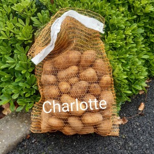 Pomme de terre "Charlotte"...