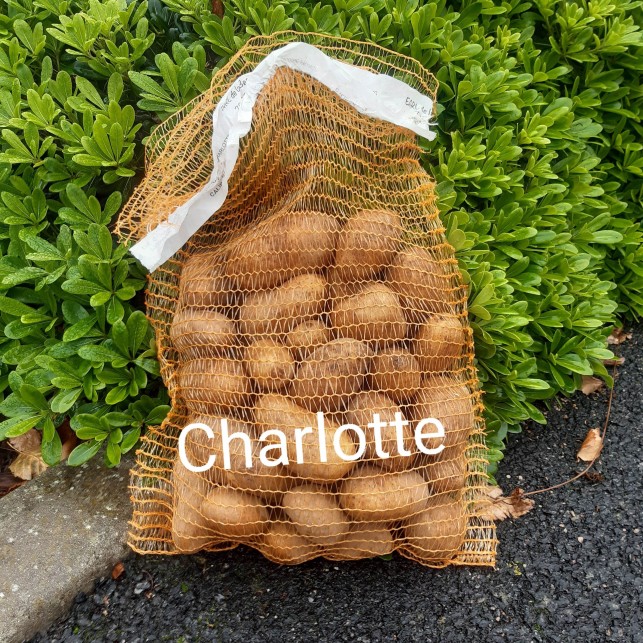 Pomme de terre "Charlotte" - filet 5kg