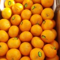Mandarine ORRI - 2 kilos