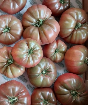 Tomates noires d'antan - 500g