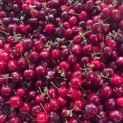 Cerises - 250g
