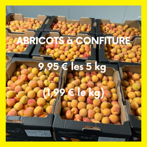 Abricots caisse de 5Kg