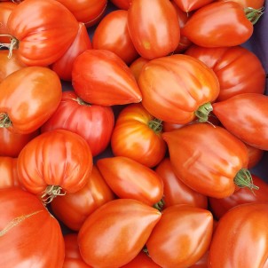 Tomates coeur de boeuf