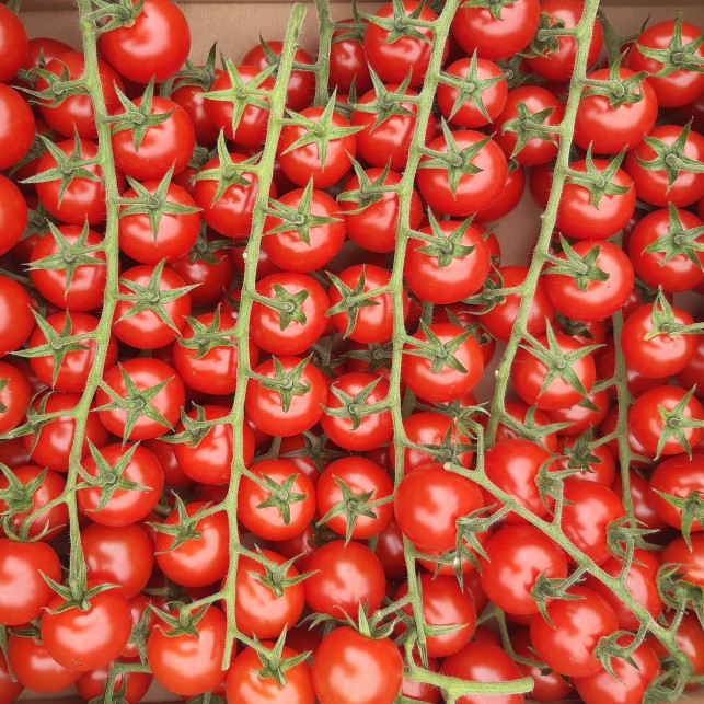 Tomates Cerises - 250g