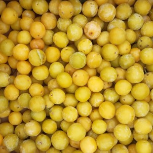 Prune Mirabelle - 250 g