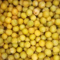 Prune Mirabelle - 250 g