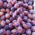 Prune D'ente - 250g