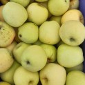 Pomme Golden - 2 Kg