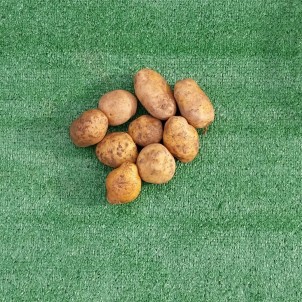 Pomme de terre "Bintje" - 2 kg