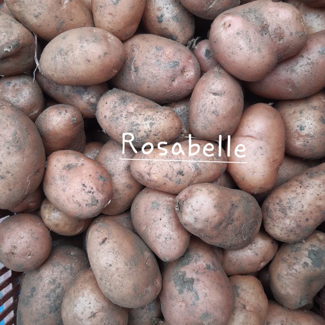 Pomme de terre "Rosabelle" - 500g