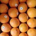 Orange Bio - Par unité