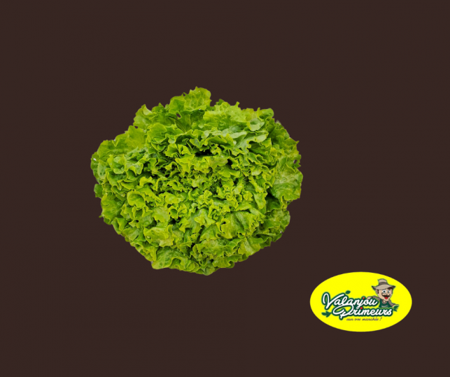 Salade Batavia - Par unité