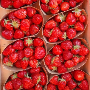 Fraises