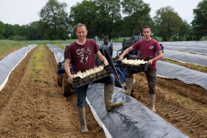 Asperge bio verte - 250g