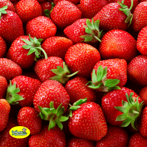 Fraise Française - la...