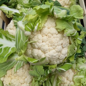 Chou-fleur