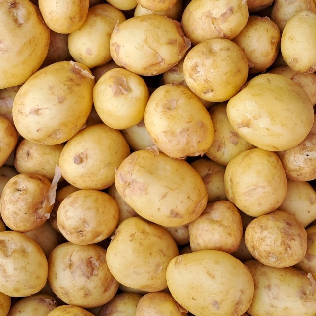 Pomme de terre nouvelle - les 2 kg