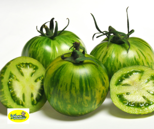 Tomates Green zebra - Par...