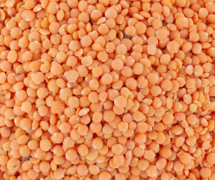 Lentille corail - 100g
