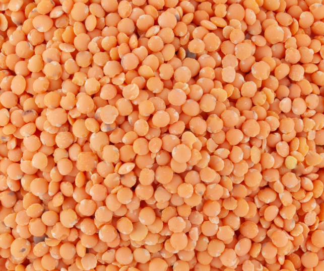 Lentille corail - 100g