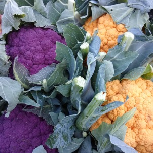Chou fleur de couleur - Par...