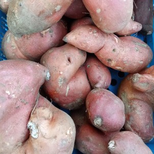 Patate douce - 250g