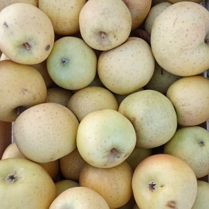 Pomme Belchard - 2 Kg