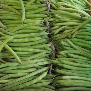 Haricots verts cueillis...