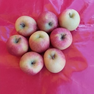 Pomme Skyfresh - par unité