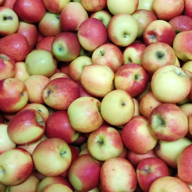 Pomme Skyfresh - 2 Kg