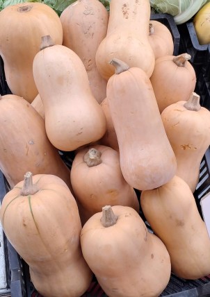 Courge Butternut - Par unité