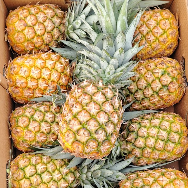 Ananas Sweet - Par unité