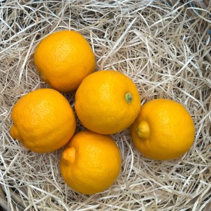 Citron Bergamote BIO - Lot...
