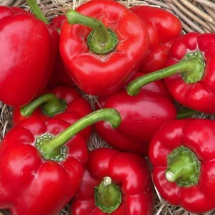 Poivron rouge - Par unité