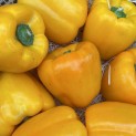 Poivron jaune - Par unité