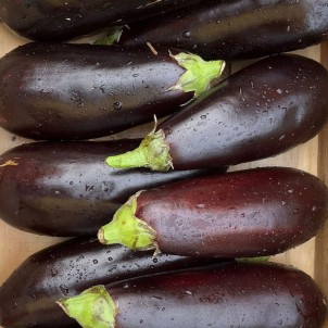 Aubergine - Par unité