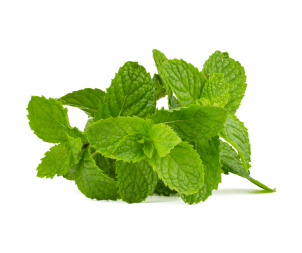 *Menthe - Par unité