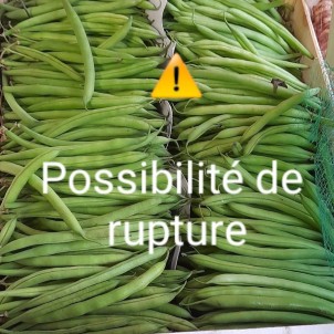 Haricots verts cueillis...