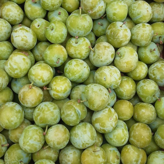 Prune Reine Claude véritable - 250g