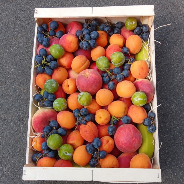 Corbeille de Fruits