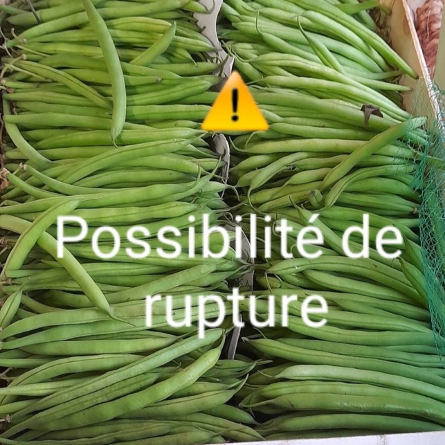 Haricots verts cueillis machine - 250g