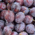 Prune Rouge -  250g